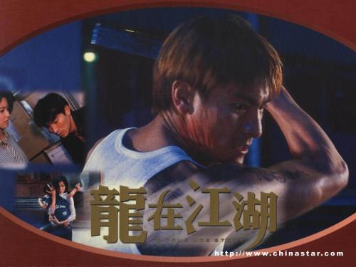 香港驾照什么样